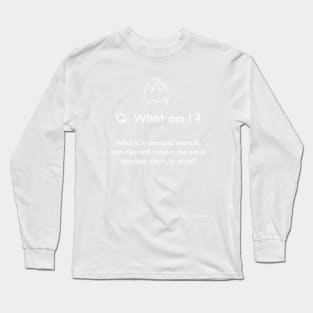 Riddle #4 Long Sleeve T-Shirt